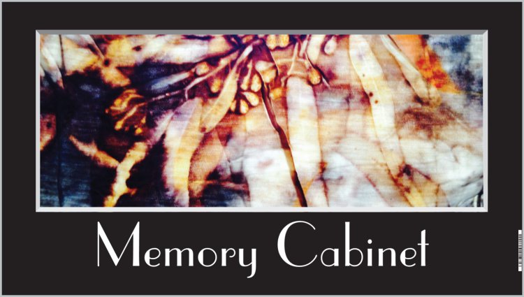 Memory Cabinet logo